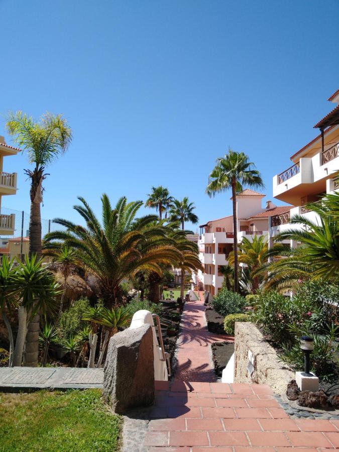 Forest Flat - Big Heated Pool, Terrace, Tv Channels, Golf Courses San Miguel de Abona Bagian luar foto