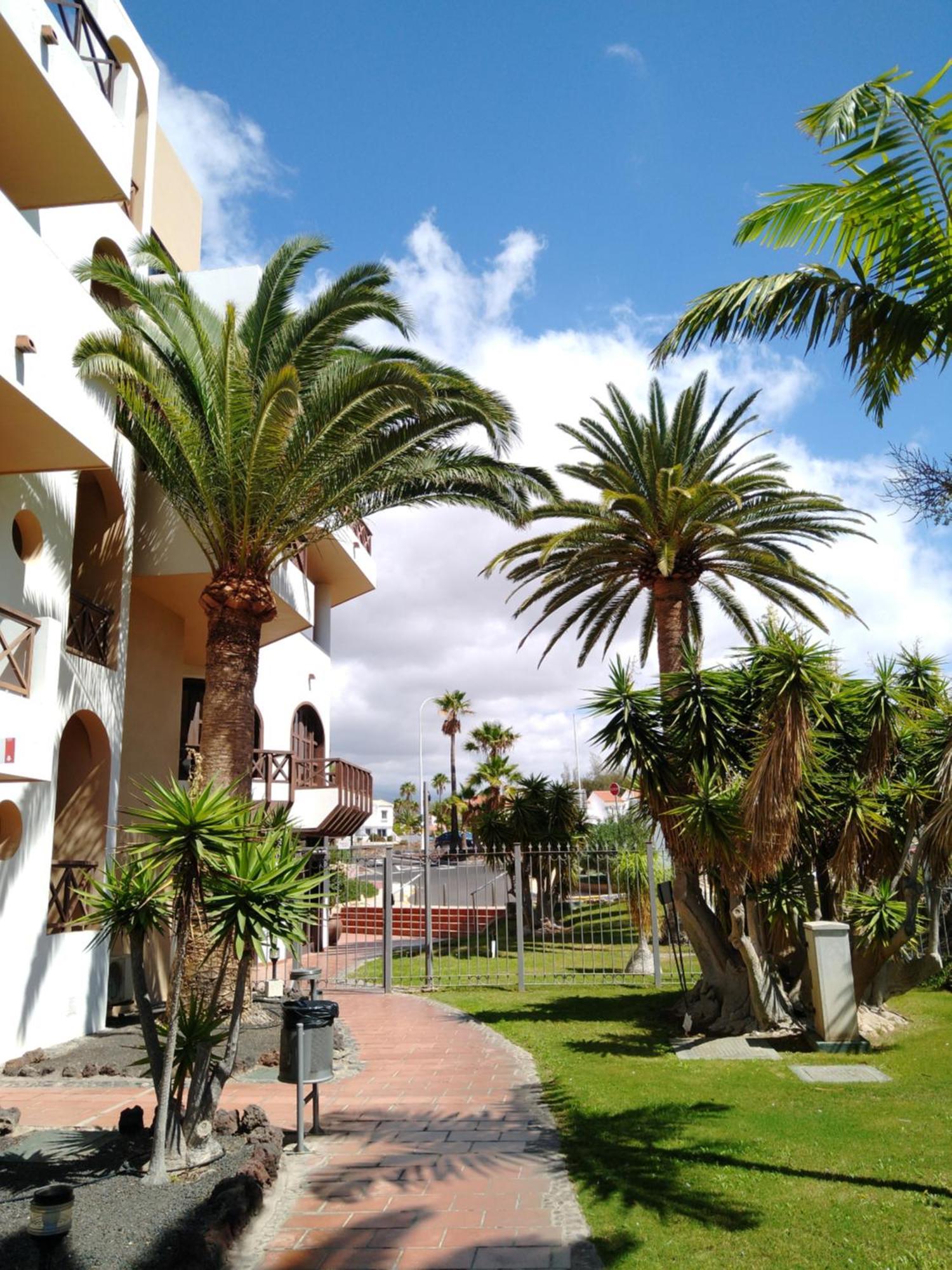 Forest Flat - Big Heated Pool, Terrace, Tv Channels, Golf Courses San Miguel de Abona Bagian luar foto